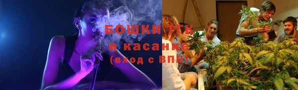 ГАЛЛЮЦИНОГЕННЫЕ ГРИБЫ Елизово