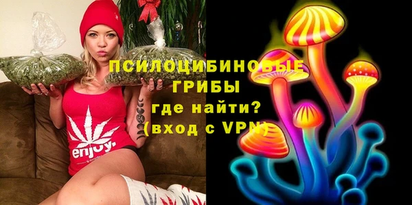 амфетамин Ельня