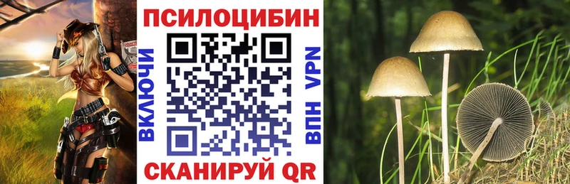 Купить закладки  Оханск  Псилоцибиновые грибы мицелий 